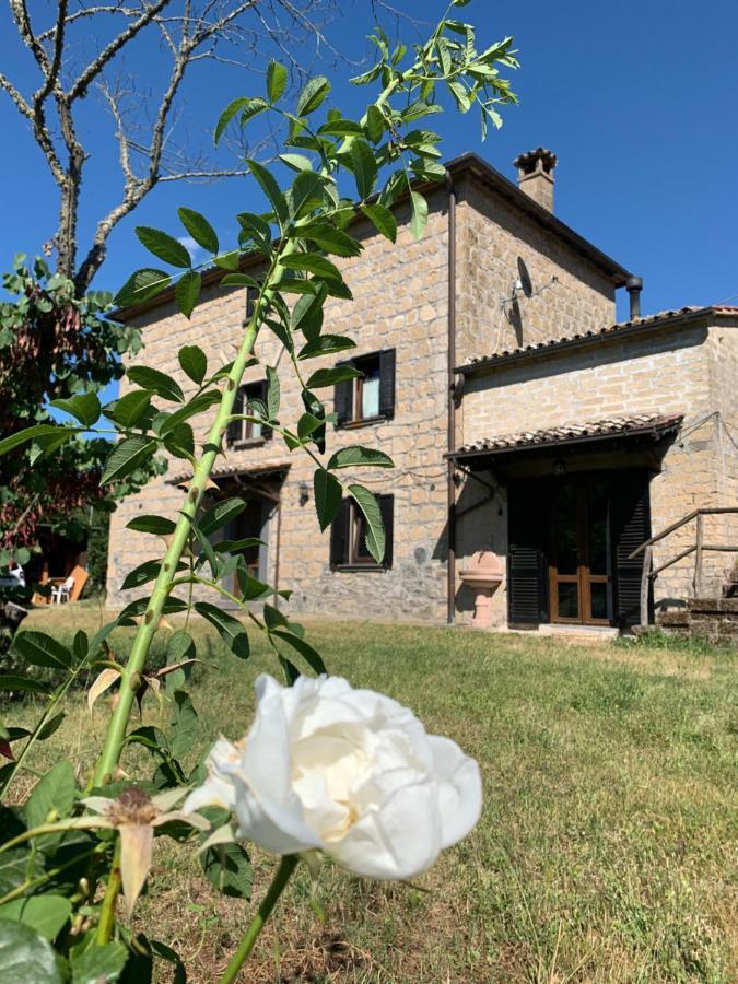 Villa Casa di Monica Torre San Severo Esterno foto